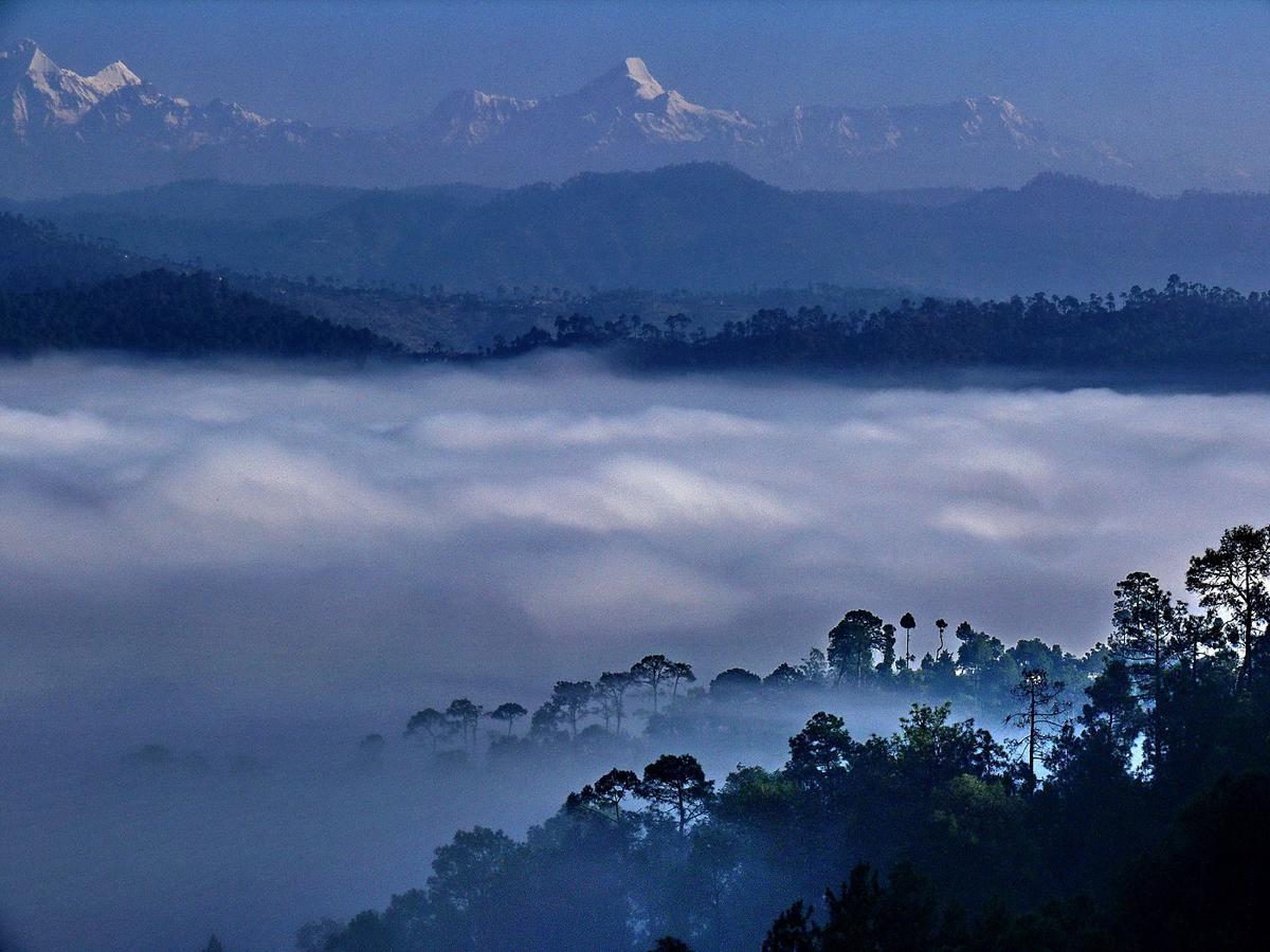 Ayurvaid Kalmatia Hotel Almora Buitenkant foto