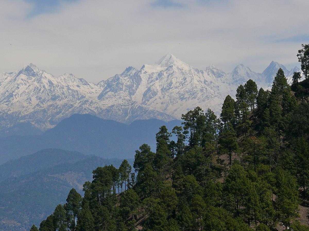 Ayurvaid Kalmatia Hotel Almora Buitenkant foto