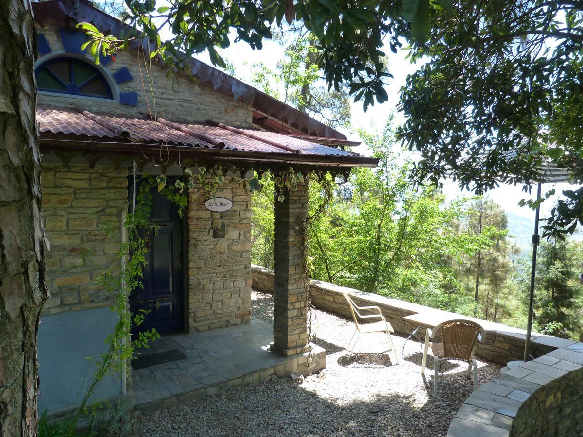 Ayurvaid Kalmatia Hotel Almora Buitenkant foto