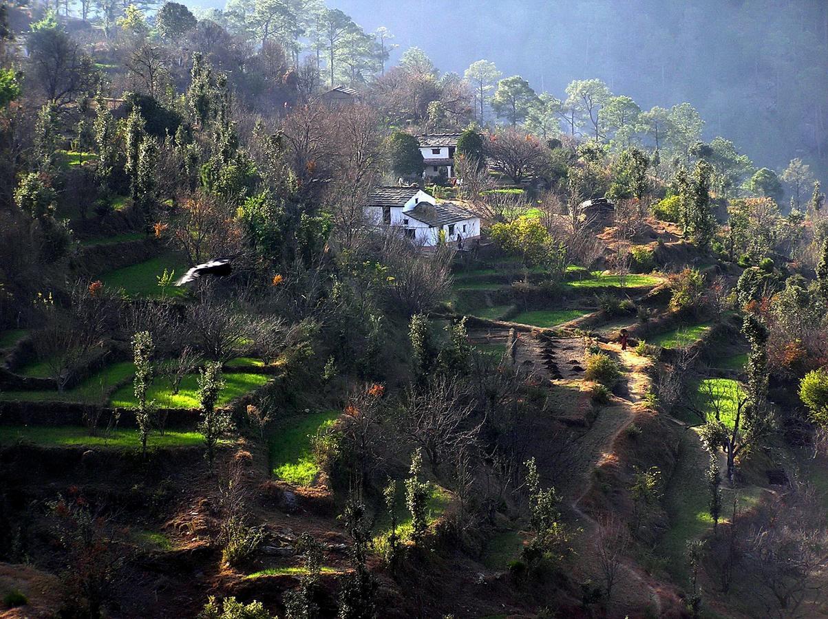 Ayurvaid Kalmatia Hotel Almora Buitenkant foto